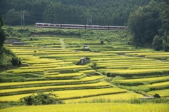 田園を走る