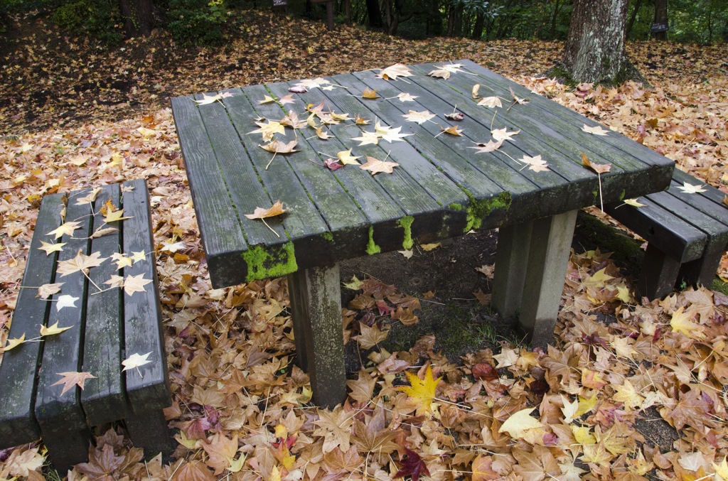神戸市立森林植物園　その4
