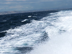 海