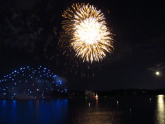 夜空に輝く花火