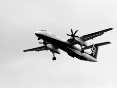 IMG_0603-1