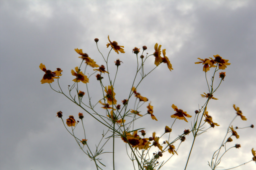 AIMG_0909