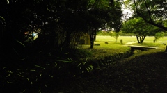 蛍2012.06.02-002