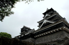 AIMG_1499