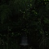 2013.06.05_牛頸ダム_003-1