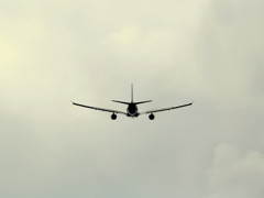 IMG_0568-2
