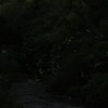 2013.06.05_牛頸ダム_001-B