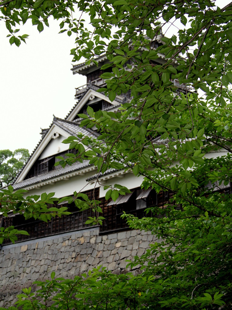 AIMG_1527