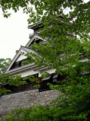 AIMG_1527