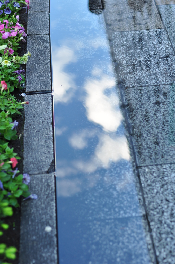雨上がり。