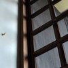 ひとやすみ。