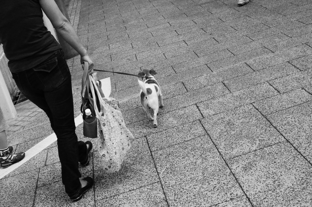 どこいくー？
