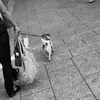 どこいくー？