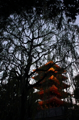 ASAKUSA "五重塔"