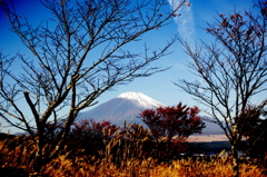 FUJI