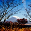 FUJI