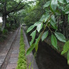 RIMG0212