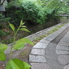 RIMG0196