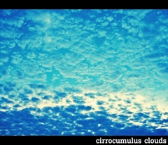 cirrocumulus clouds