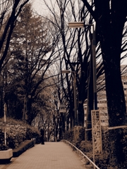 町並み