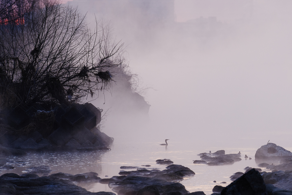 World of silence
