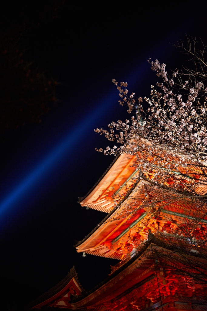清水寺　ライトアップ