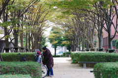 風景１