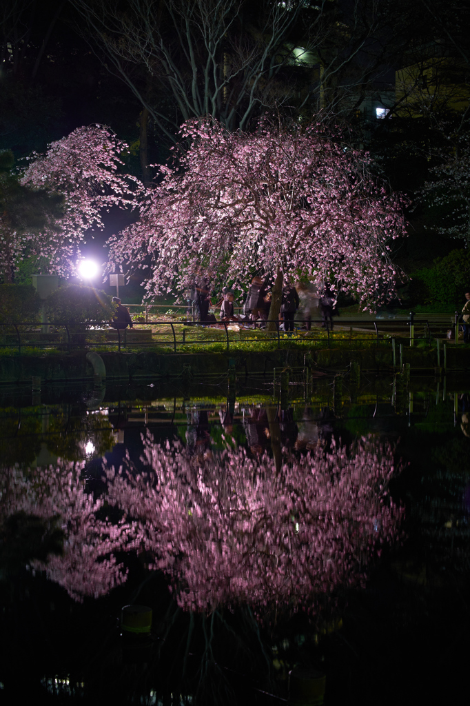 鏡花