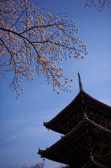 京都の風景