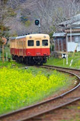2014春　小湊鉄道