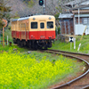 2014春　小湊鉄道