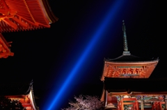 清水寺　ライトアップ
