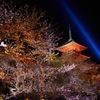清水寺　ライトアップ