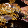 三渓園その１