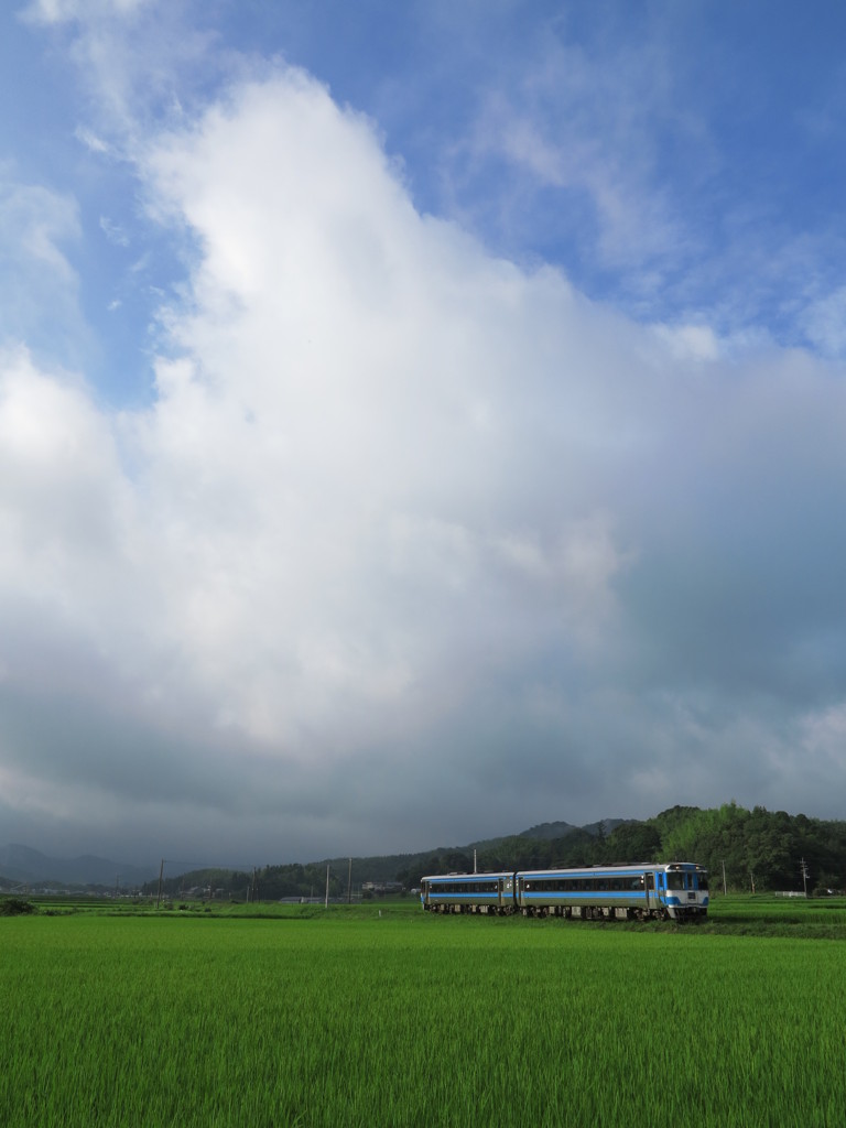 地元の鉄道風景「のんびりと」