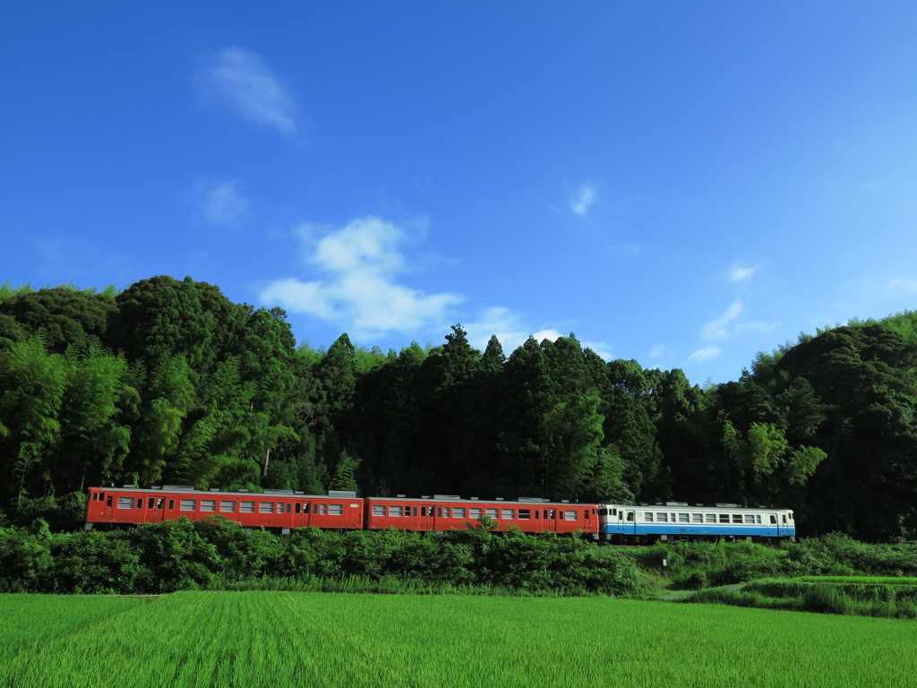 地元の鉄道風景「のんびりと」