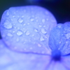 RainyBlue