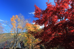２０１２　秋④