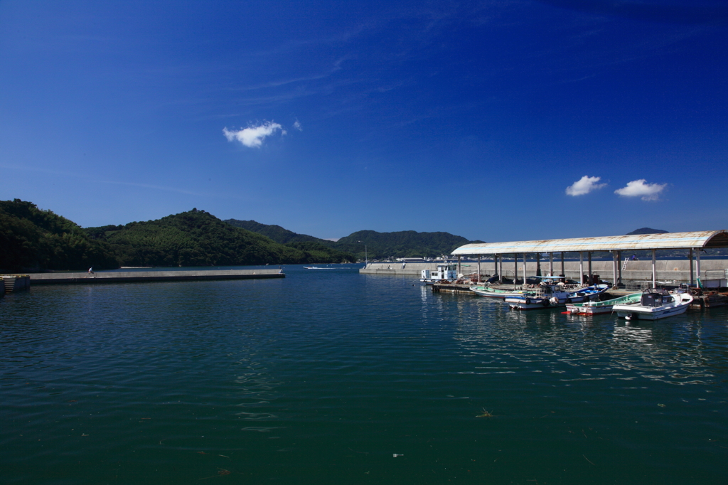 荘内半島の夏②