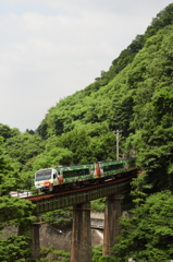 箸蔵カーブ鉄橋