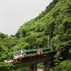 箸蔵カーブ鉄橋