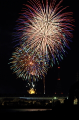 昨年の。。。