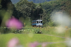 秋風