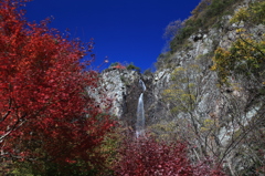 ２０１２　秋①