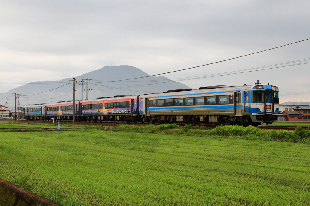 アイランドエクスプレスⅡ