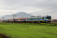 アイランドエクスプレスⅡ