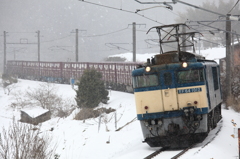 雪山男