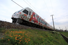 線路脇の小さな花③