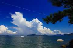 荘内の夏　リベンジ③