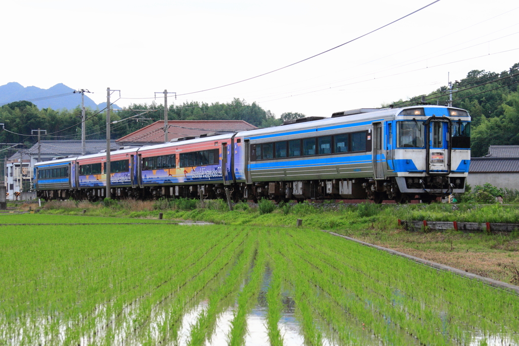 アイランドエクスプレスⅡ